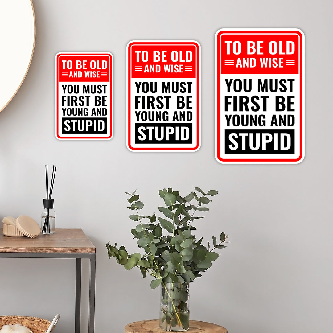 Portrait Round Plus To Be Old And Wise You Must First Be Young And Stupid Wall or Door Sign | Easy Installation | Funny Novelty Imitation Warning Signs