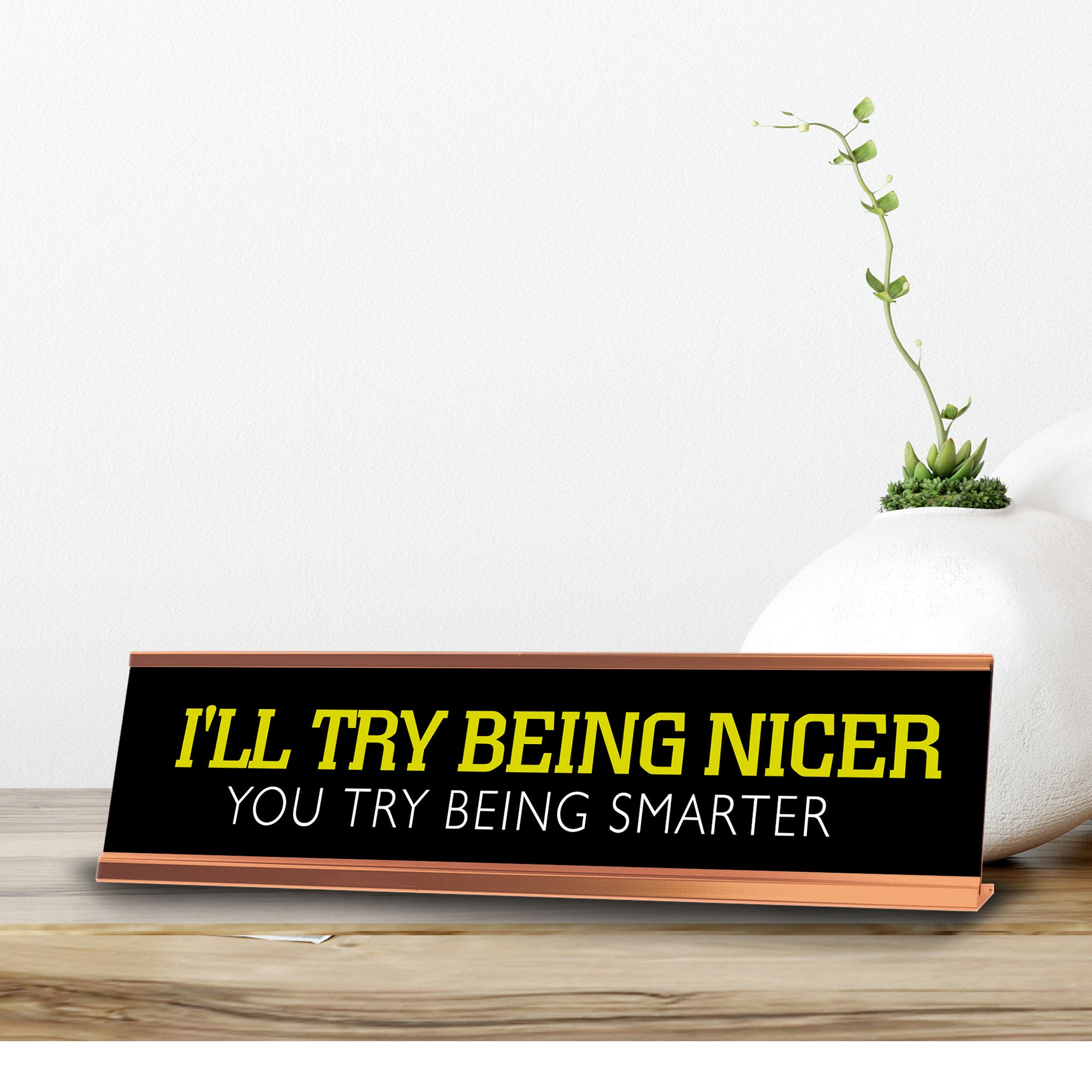 I'll Try Being Nicer You Try Being Smarter Novelty Desk Sign (2x10") | Funny Office Decor