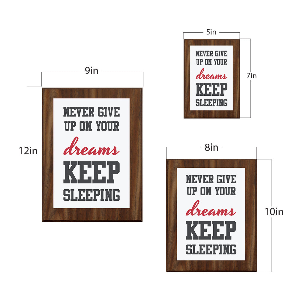 Never Give Up On Your Dreams Keep Sleeping Decorative Wall Plaque | Motivational Home Decor