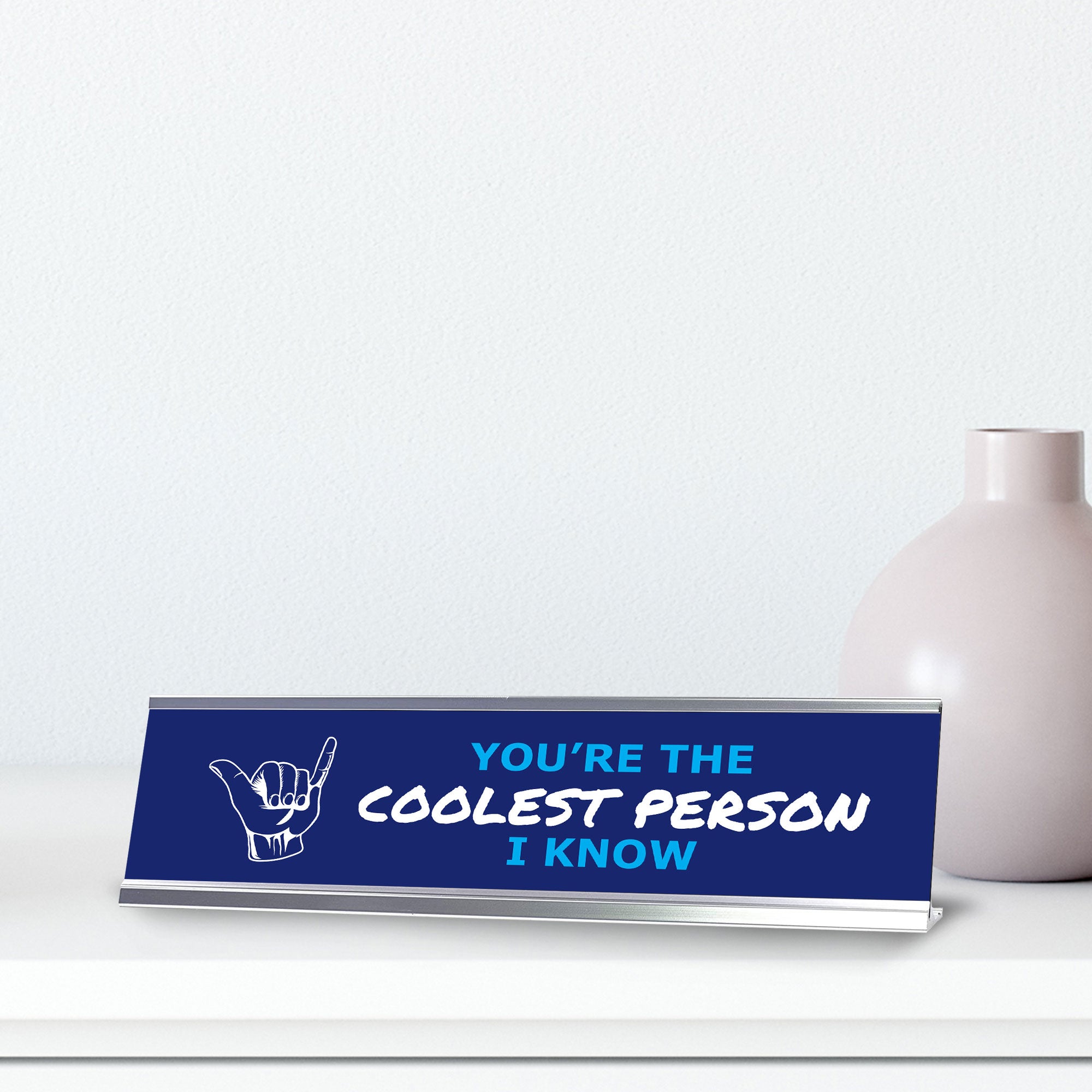 Signs ByLITA You’re The Coolest Person I Know, Silver Frame Desk Sign (2x8")