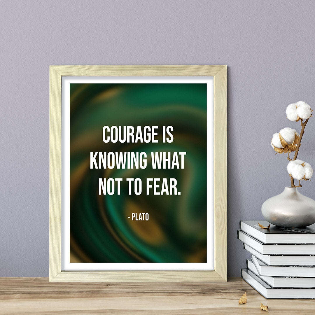 Courage is knowing what not to fear - Plato, Framed Print | Stoic Wisdom Inspirational Quotes