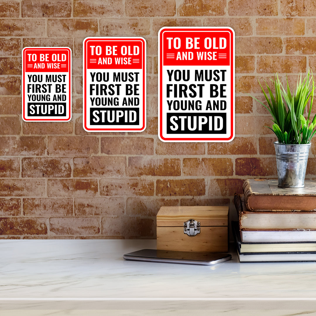 Portrait Round Plus To Be Old And Wise You Must First Be Young And Stupid Wall or Door Sign | Easy Installation | Funny Novelty Imitation Warning Signs