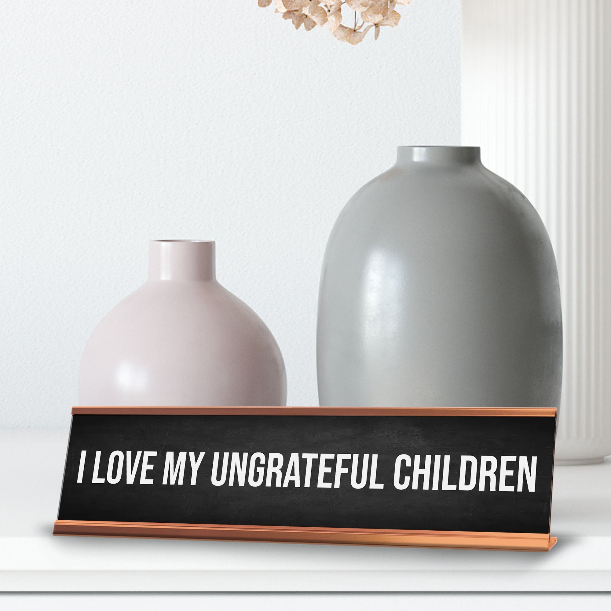 I Love My Ungrateful Children Desk Sign (2x10") | Funny Office Decor