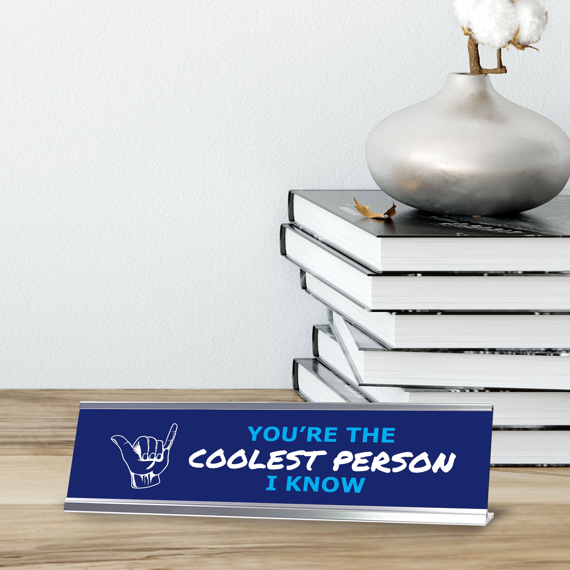 Signs ByLITA You’re The Coolest Person I Know, Silver Frame Desk Sign (2x8")