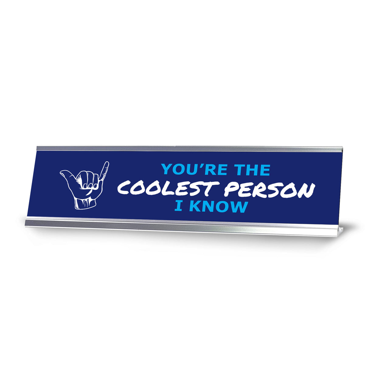 Signs ByLITA You’re The Coolest Person I Know, Silver Frame Desk Sign (2x8")